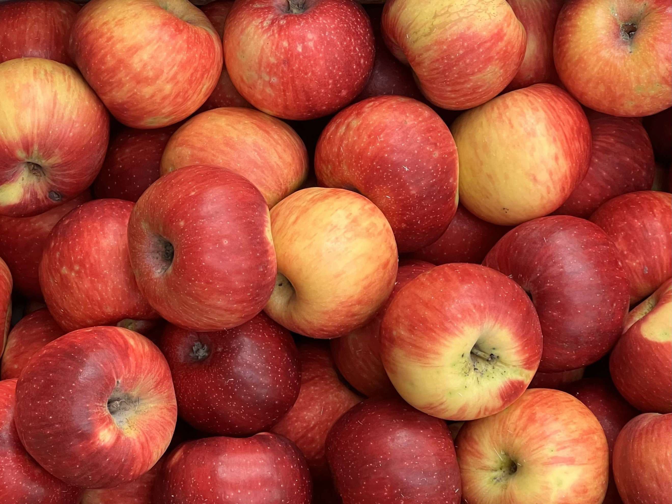 Apples - Coop 43