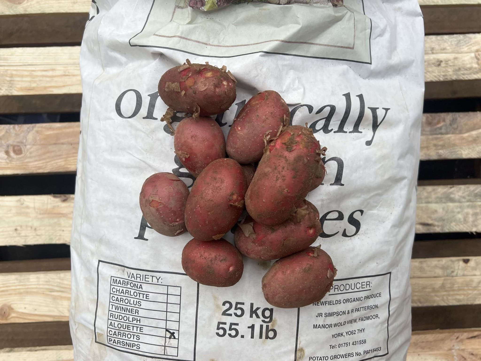 Potatoes - British Organic Red Alouette