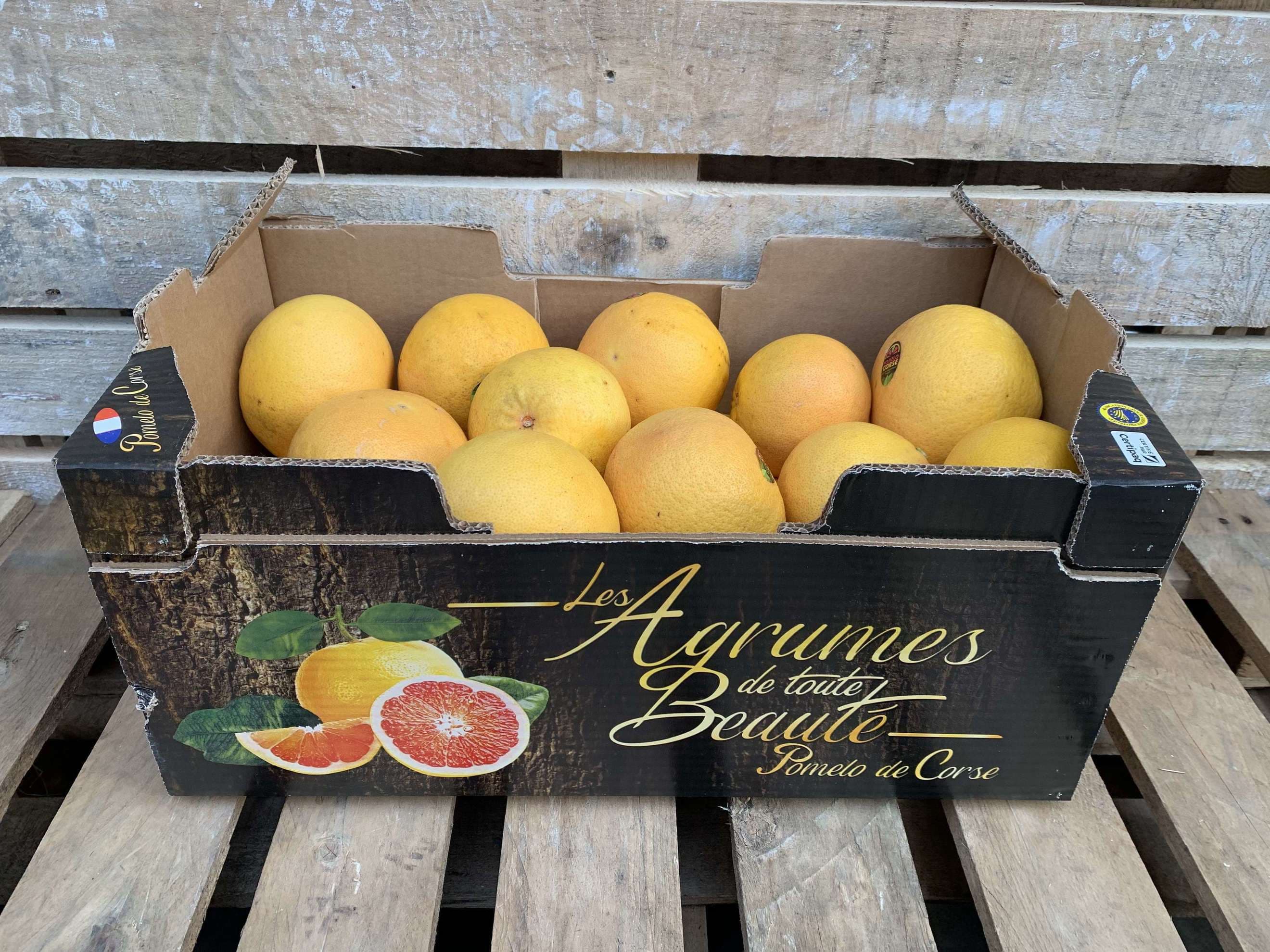 Grapefruit Organic