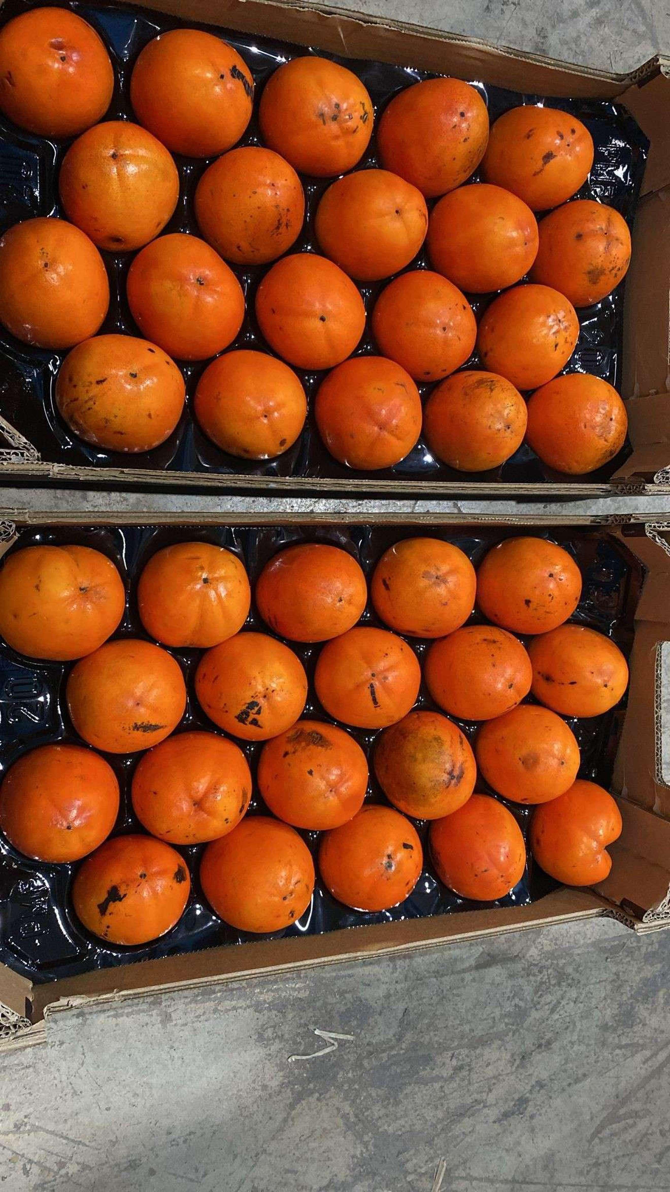 Persimmons  (Sharon Fruit) Kaki Red Brilliant