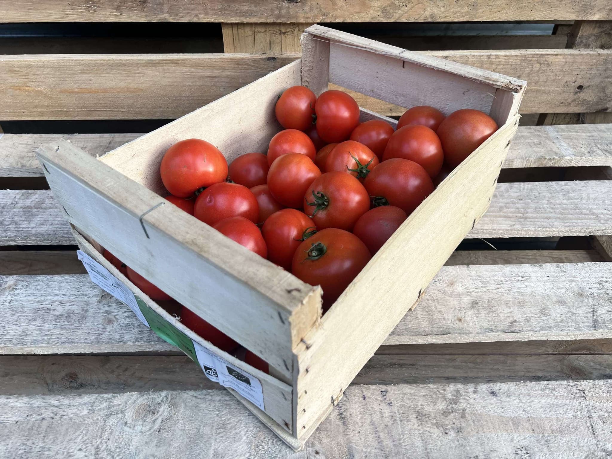 Tomatoes - Organic Round - loose