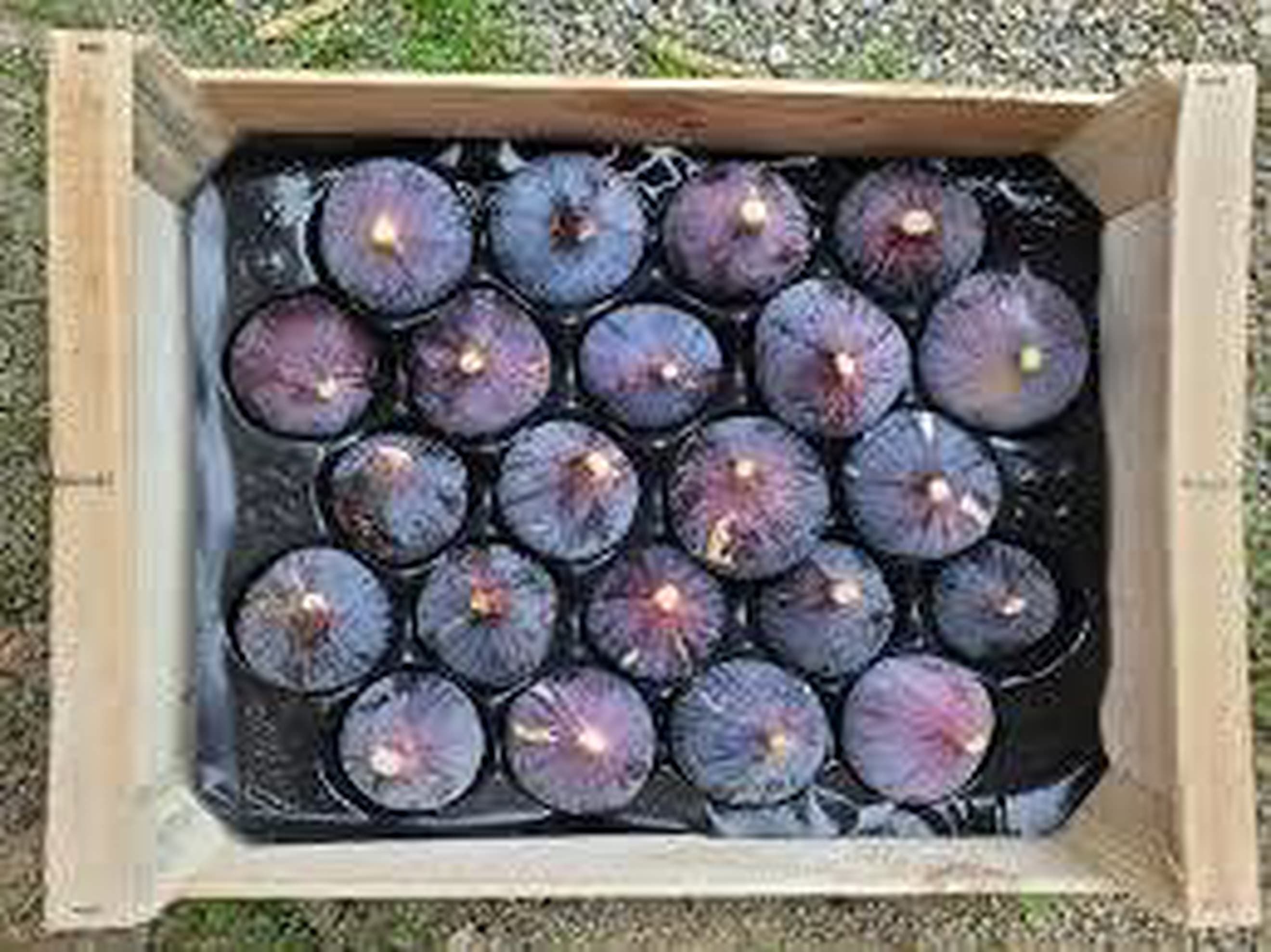 Figs, Bourjassotte loose 250g