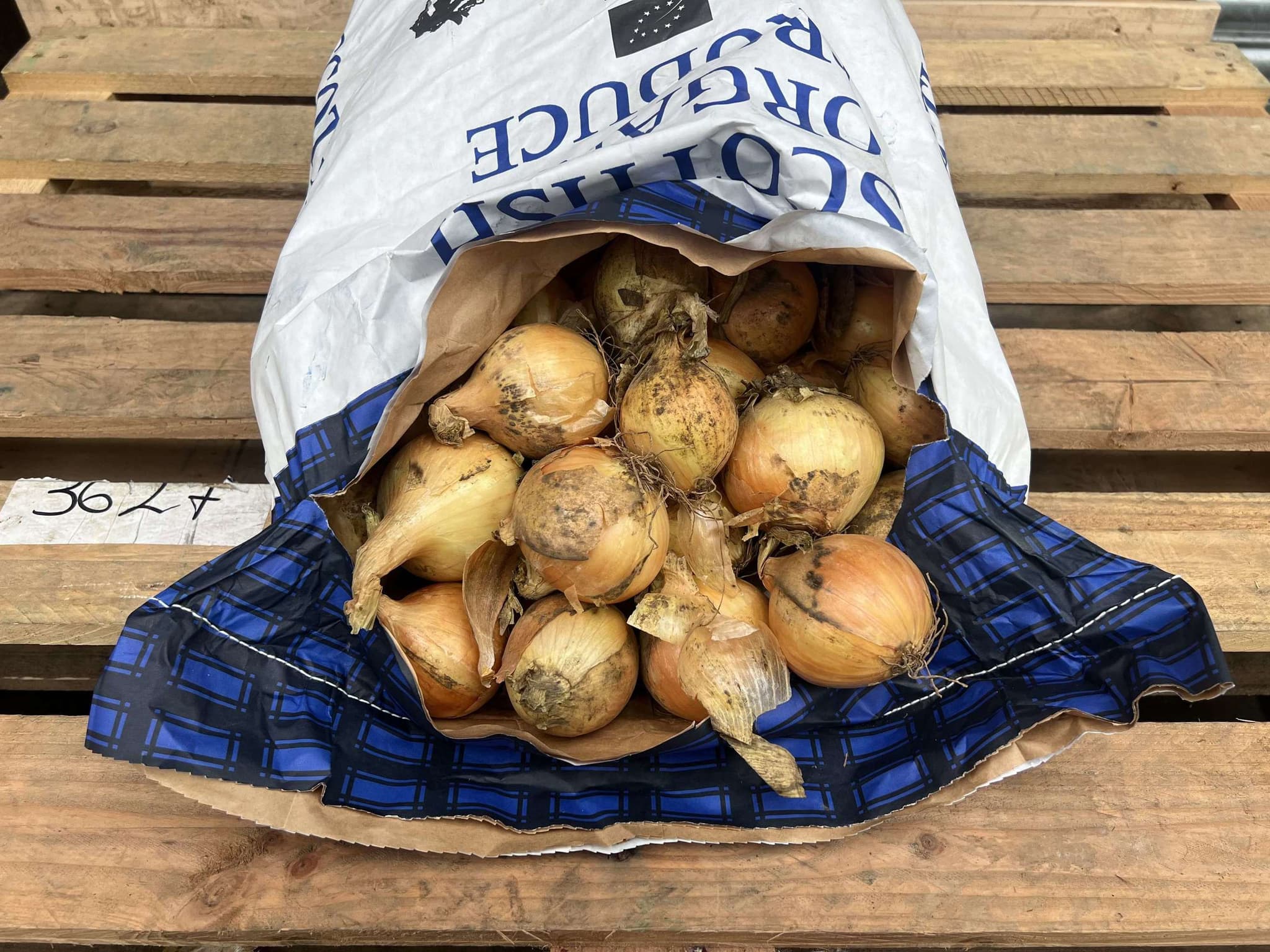 Onions Yellow - British Organic