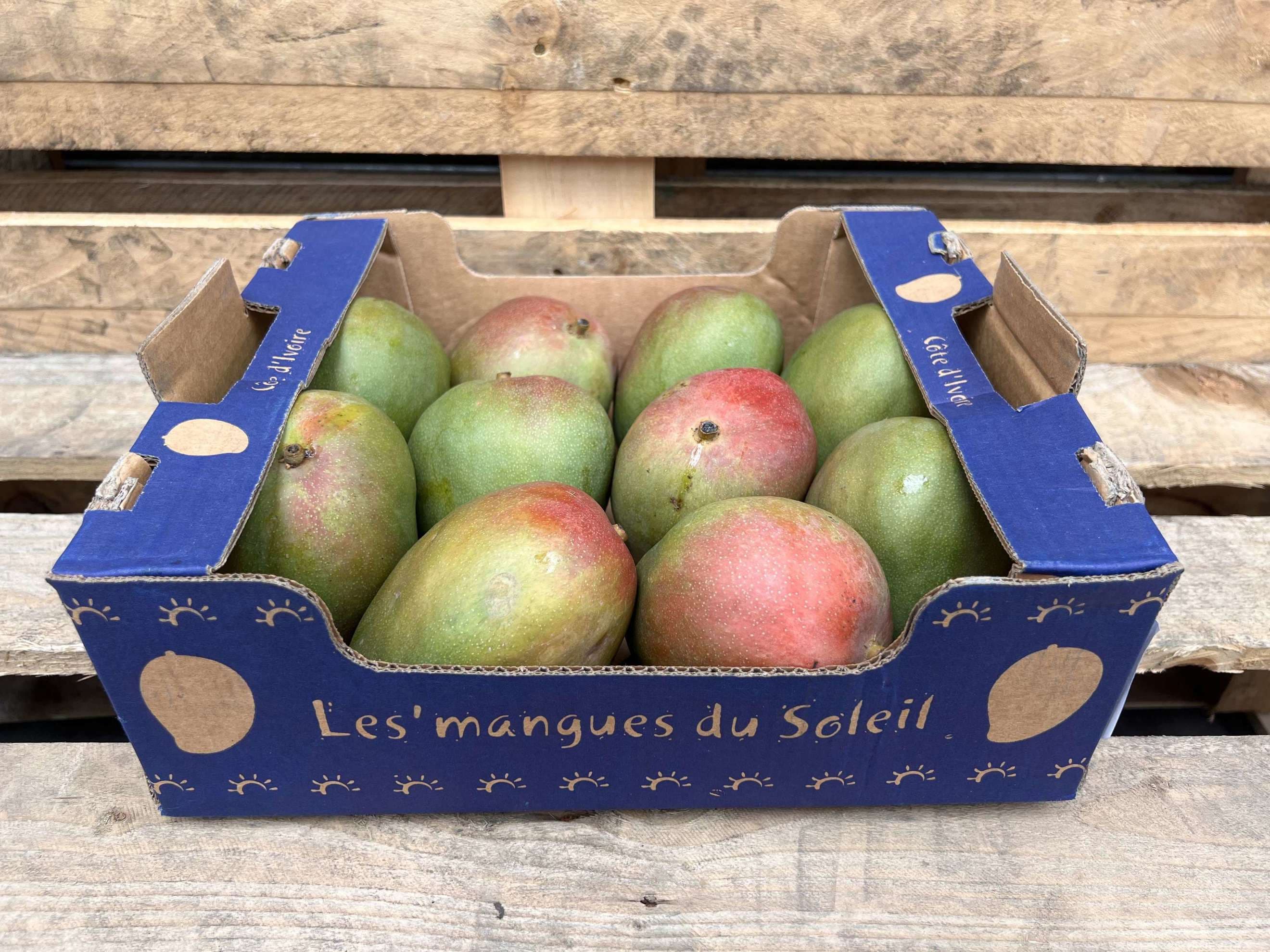 Mango - Organic Kent