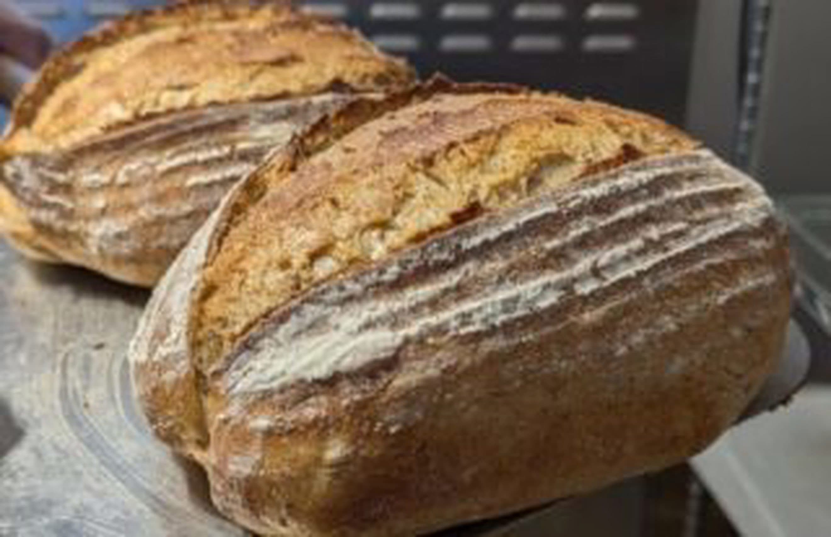 Bread unfortified - Yorkshire Country Sourdough