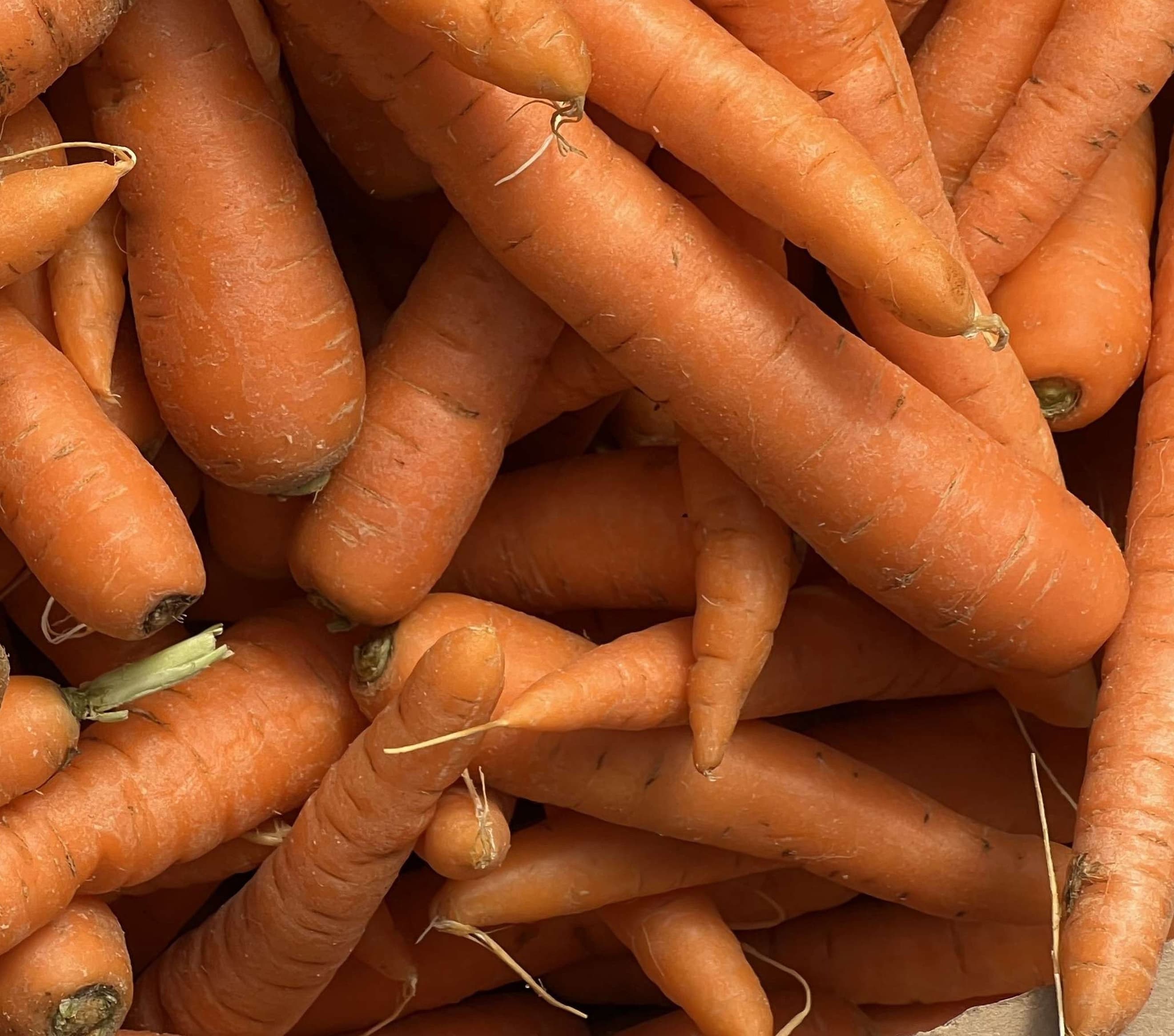 Carrots - Organic Washed