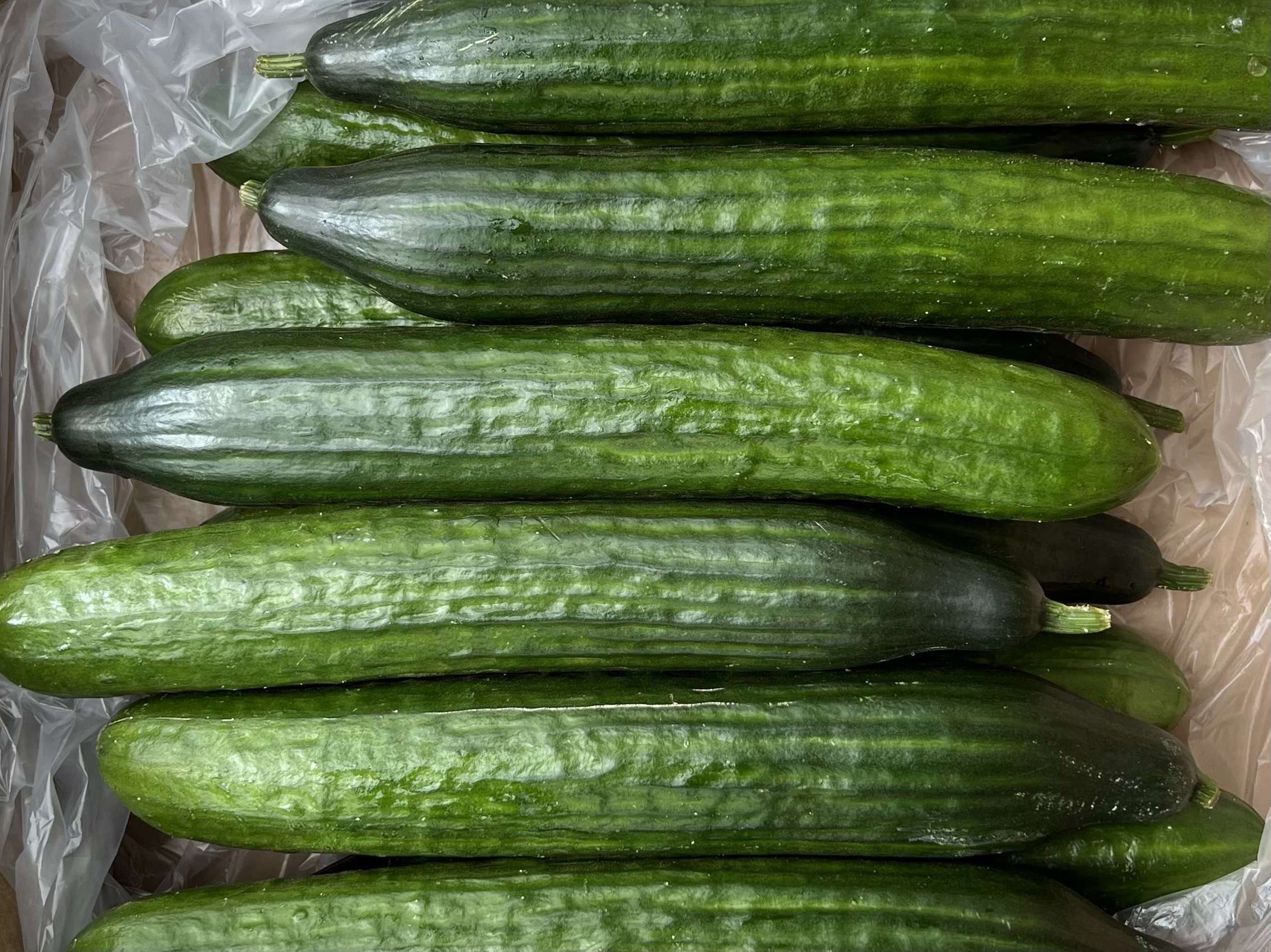 Cucumber - Organic Spanish