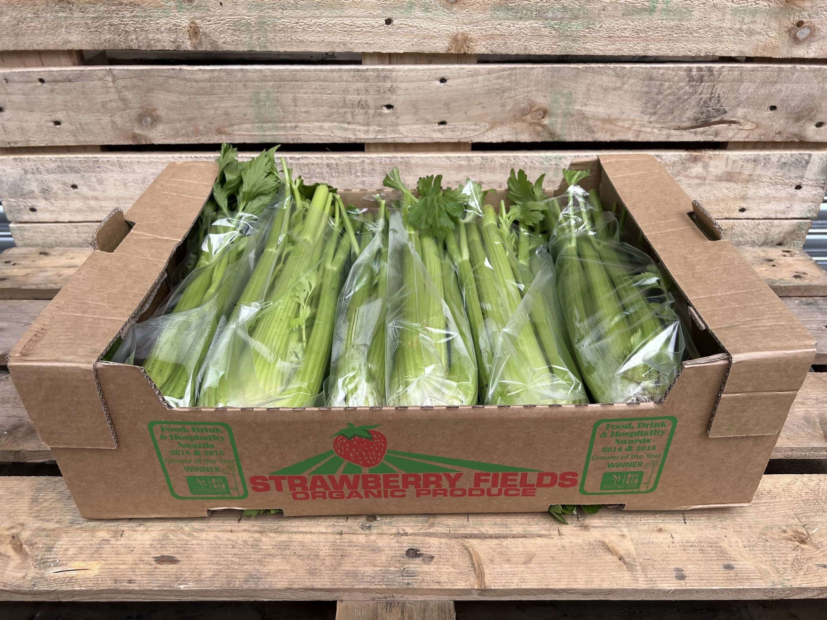 Celery - Organic (bag)
