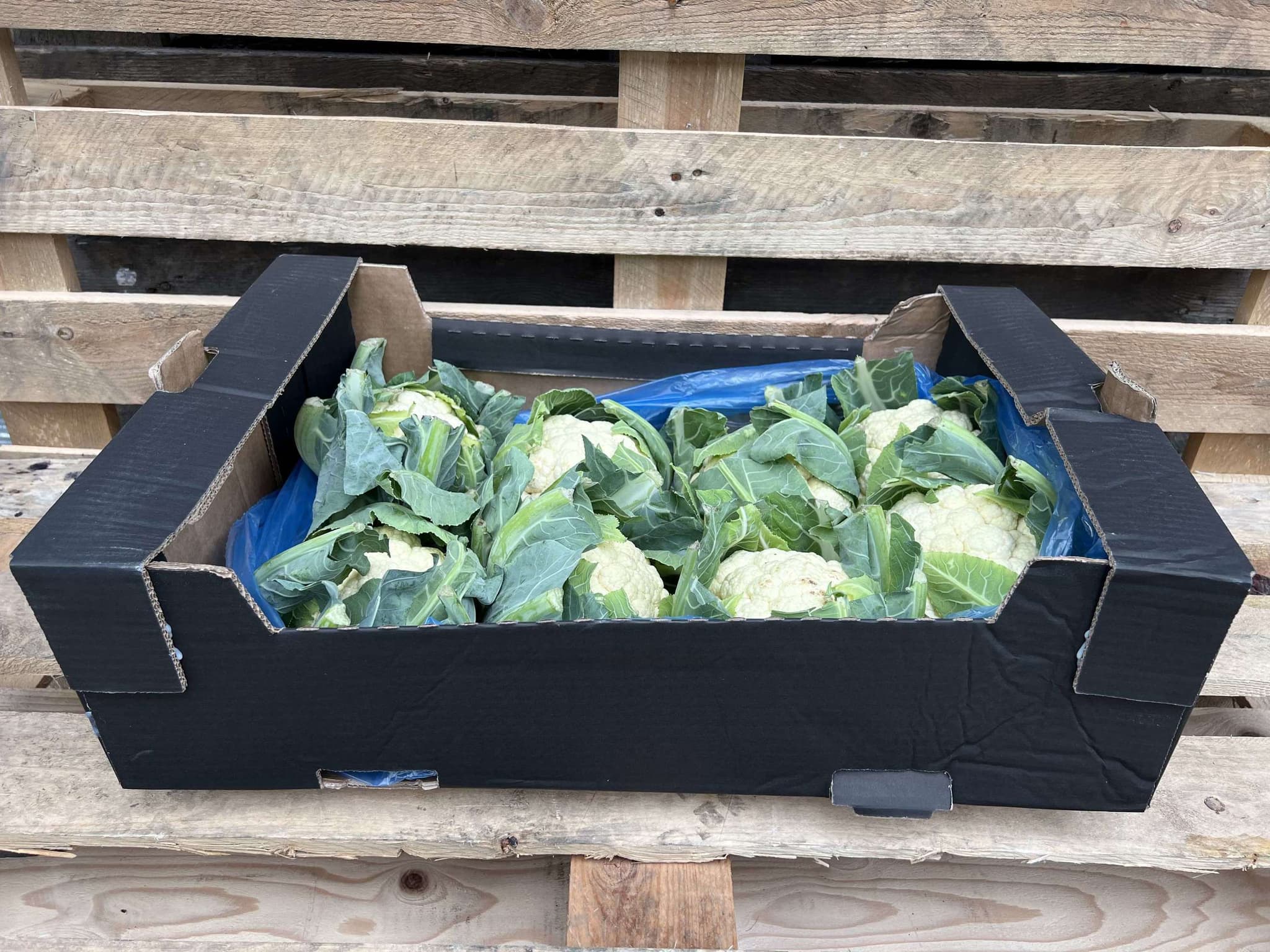 Cauliflower - British Organic