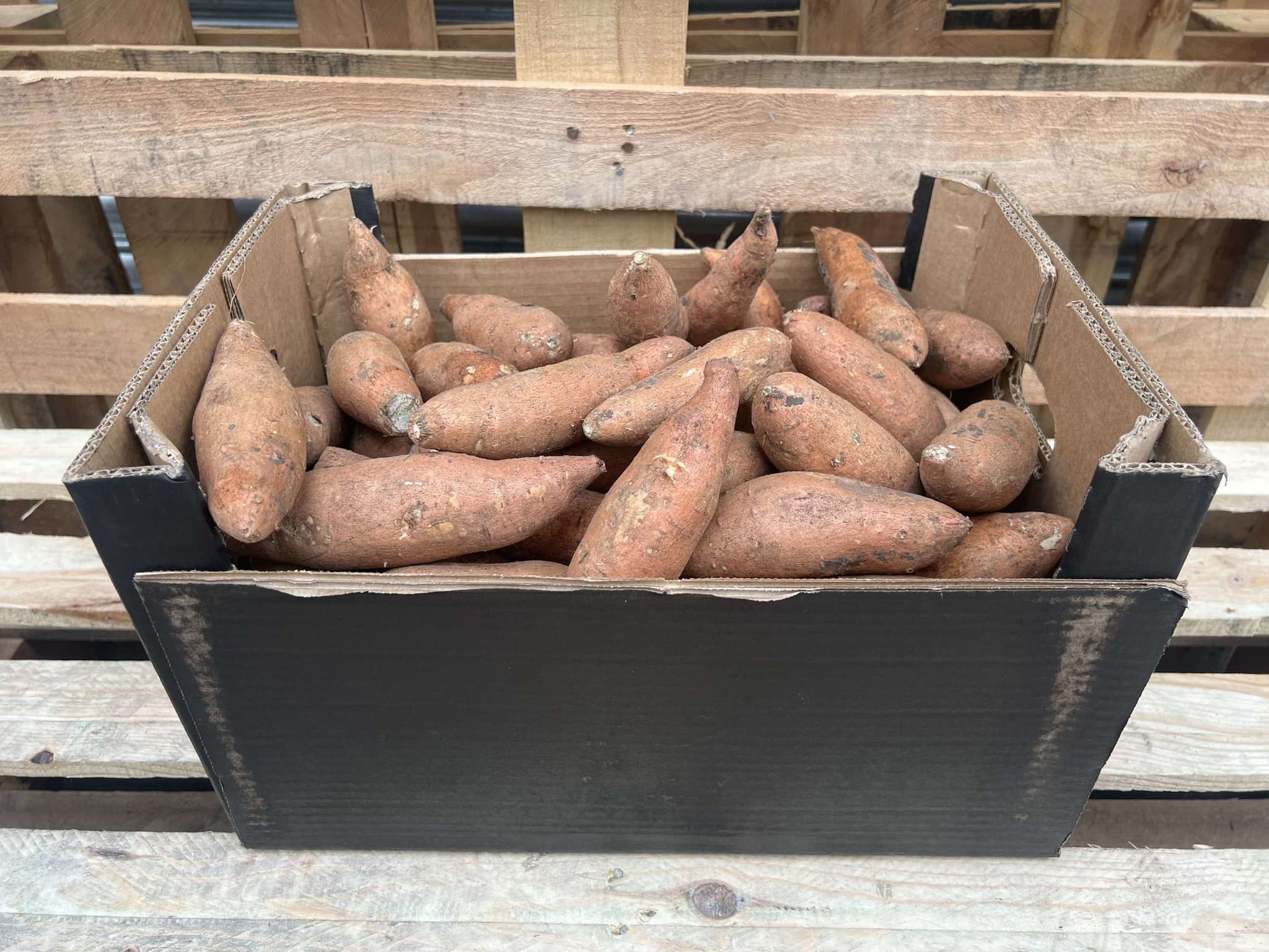 Potatoes - Sweet Organic