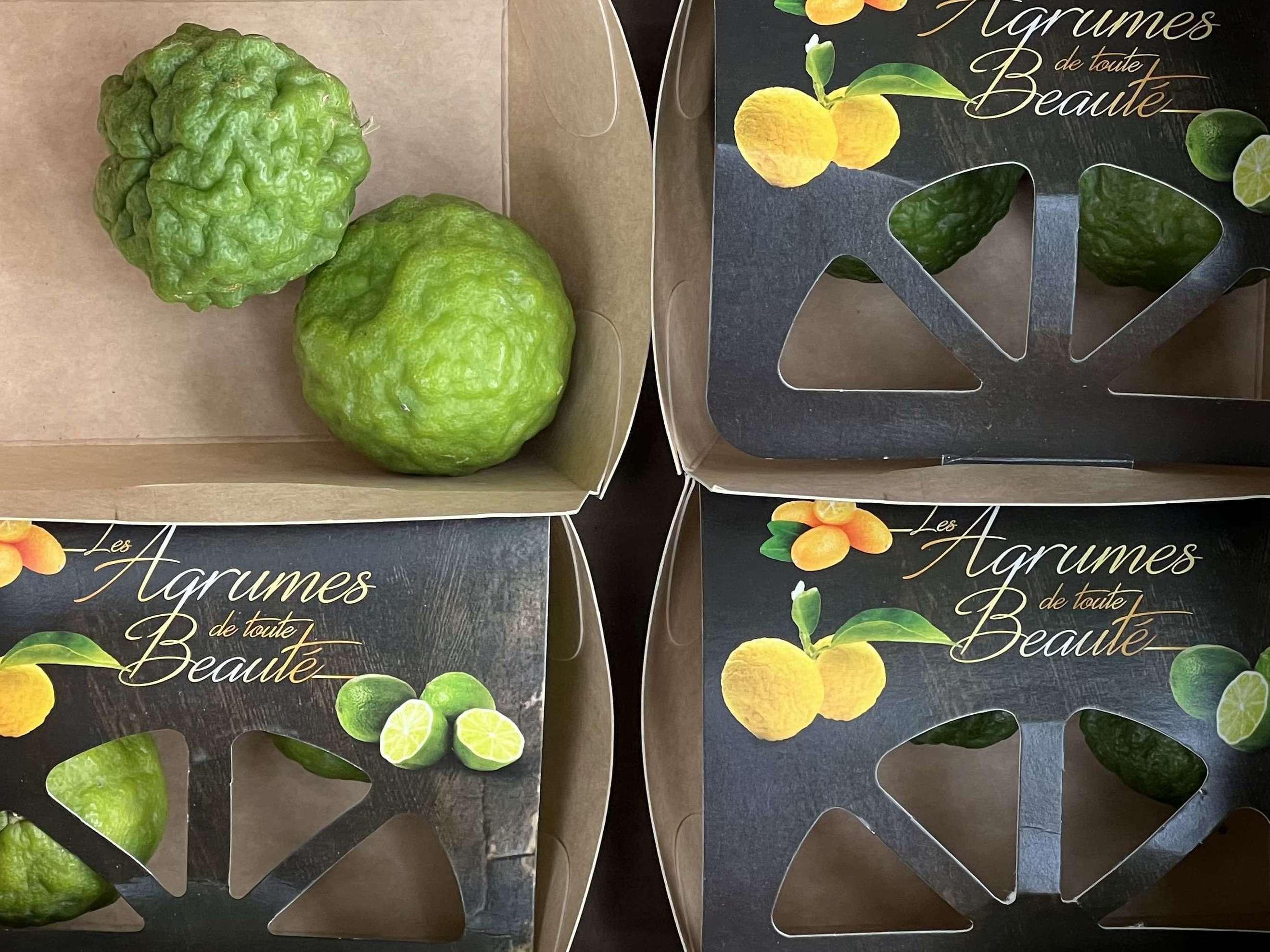 Lime, Kaffir - Organic