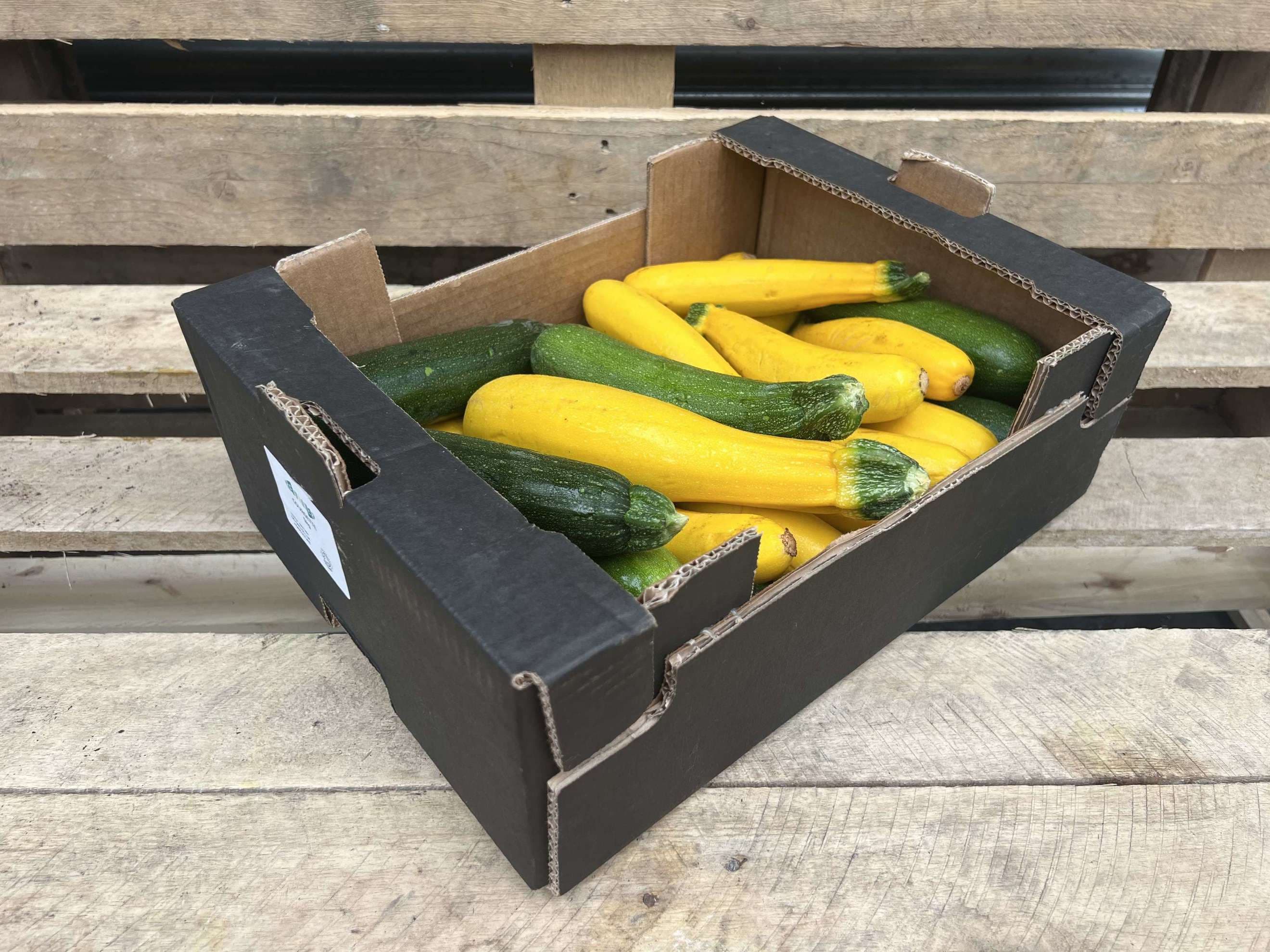 Courgettes - British Organic  (Mixed)