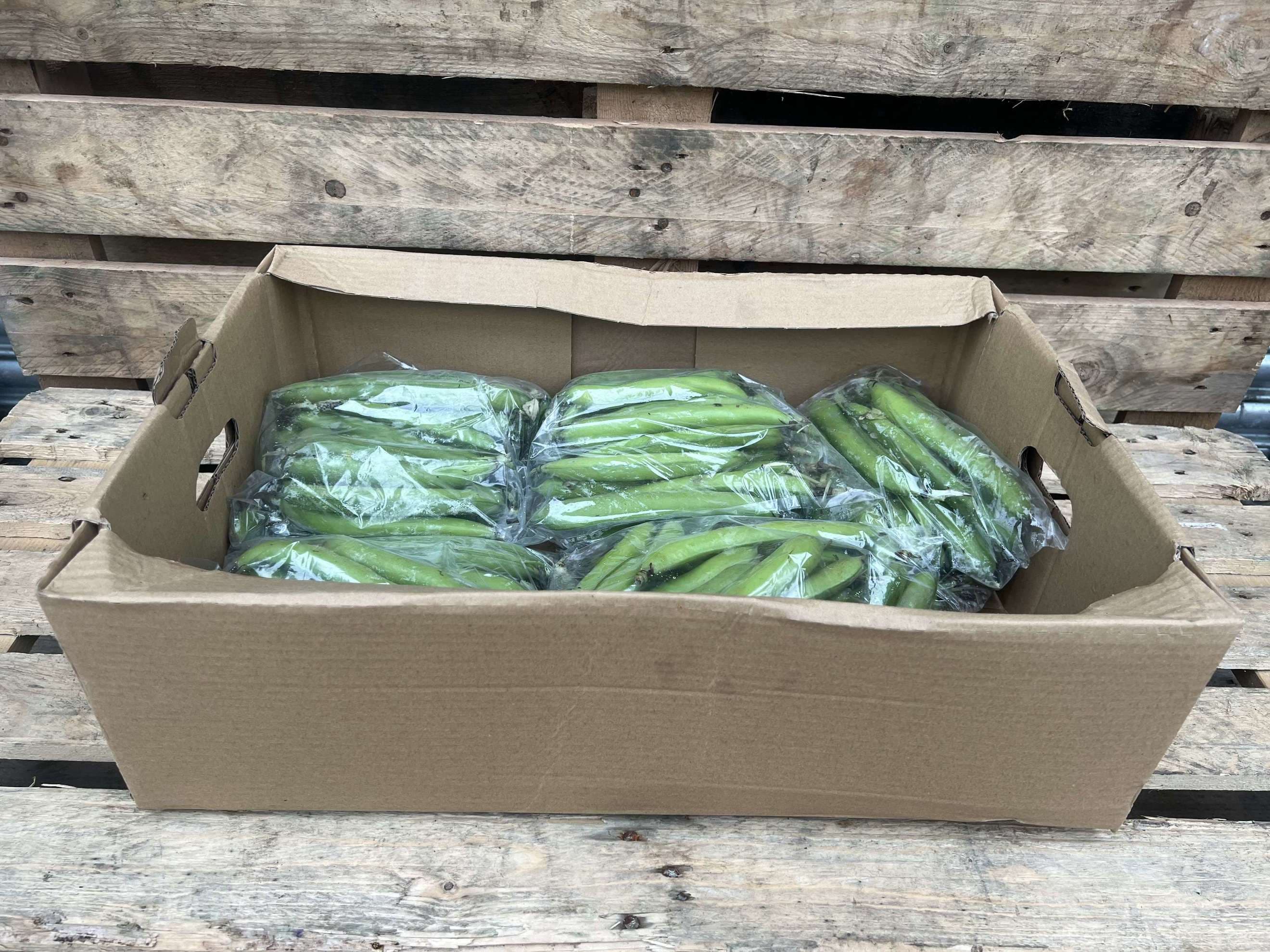 Beans - Organic Broad