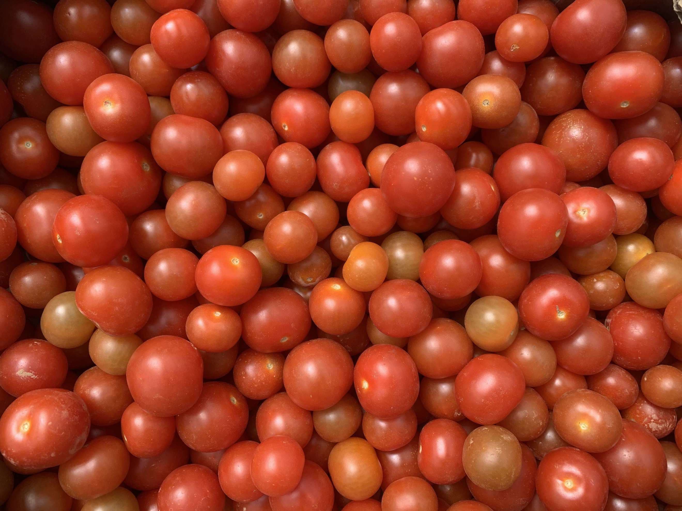 Tomatoes - Cherry - Spanish Organic
