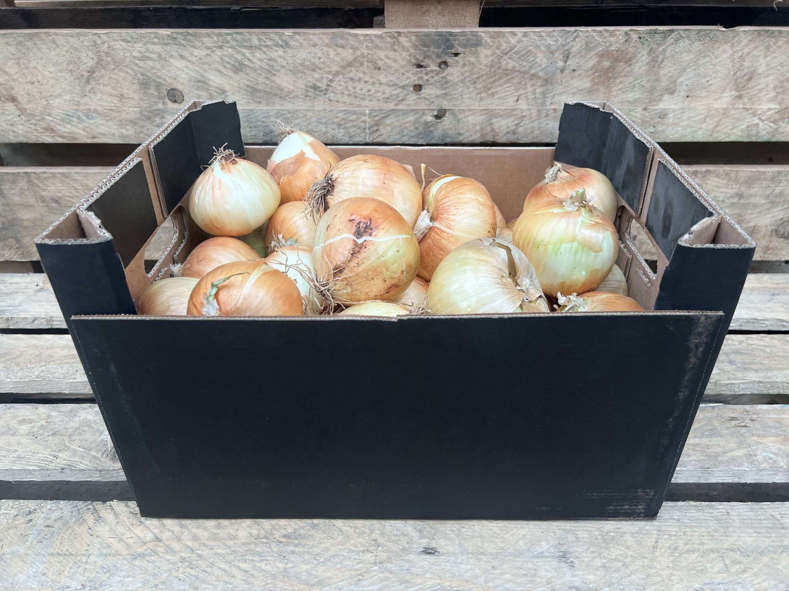 Onions - Organic Yellow